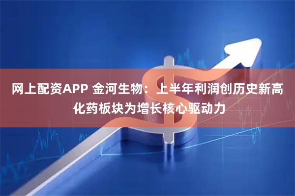 网上配资APP 金河生物：上半年利润创历史新高 化药板块为增长核心驱动力