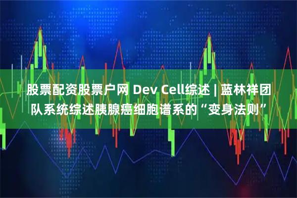 股票配资股票户网 Dev Cell综述 | 蓝林祥团队系统综述胰腺癌细胞谱系的“变身法则”